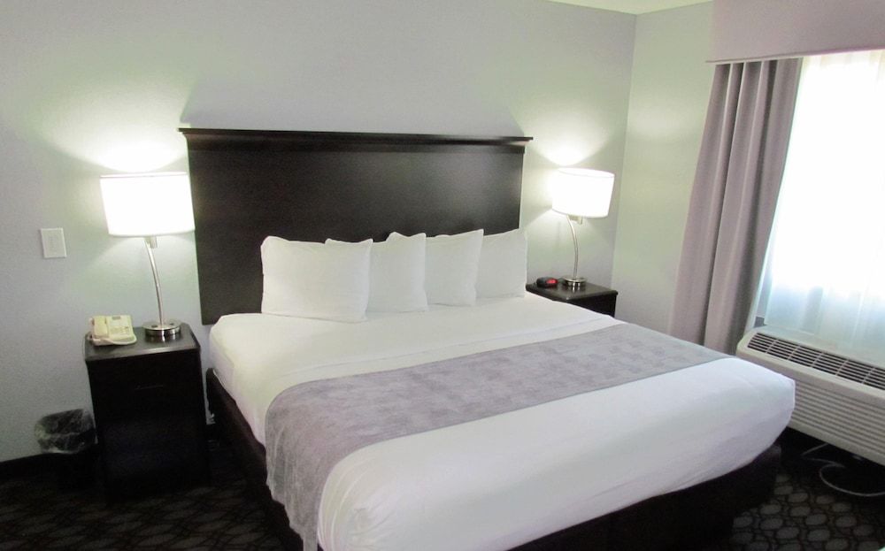 Executive Room, 1 King Bed, Non Smoking, Refrigerator & Microwave