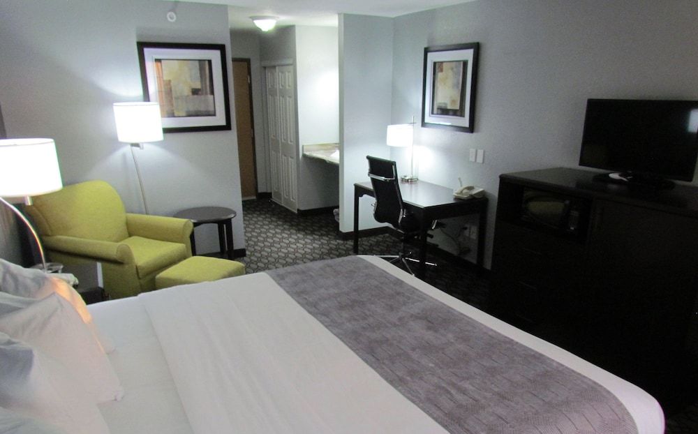 Basic Room, 1 King Bed, Non Smoking, Refrigerator & Microwave