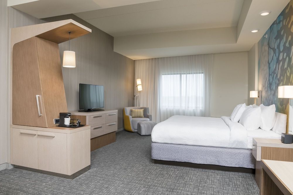 Room, 1 King Bed with Sofa bed