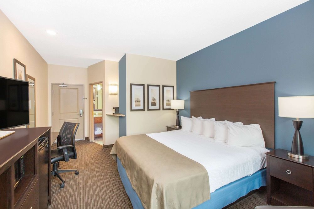 Executive Studio Suite, 1 King Bed, Non Smoking