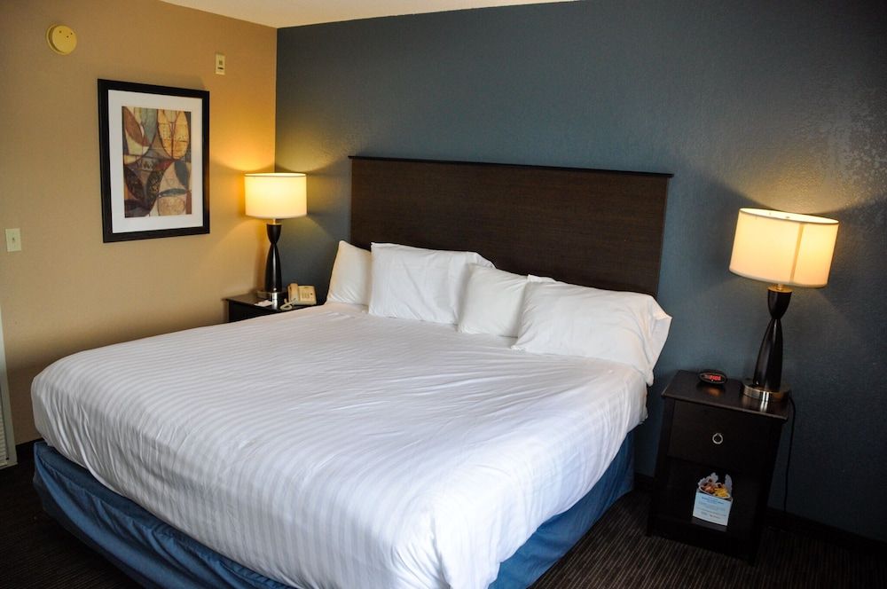 Deluxe Suite, 1 King Bed, Non Smoking (1 Bedroom)