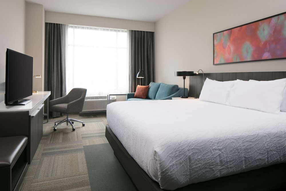 Room, 1 King Bed with Sofa bed