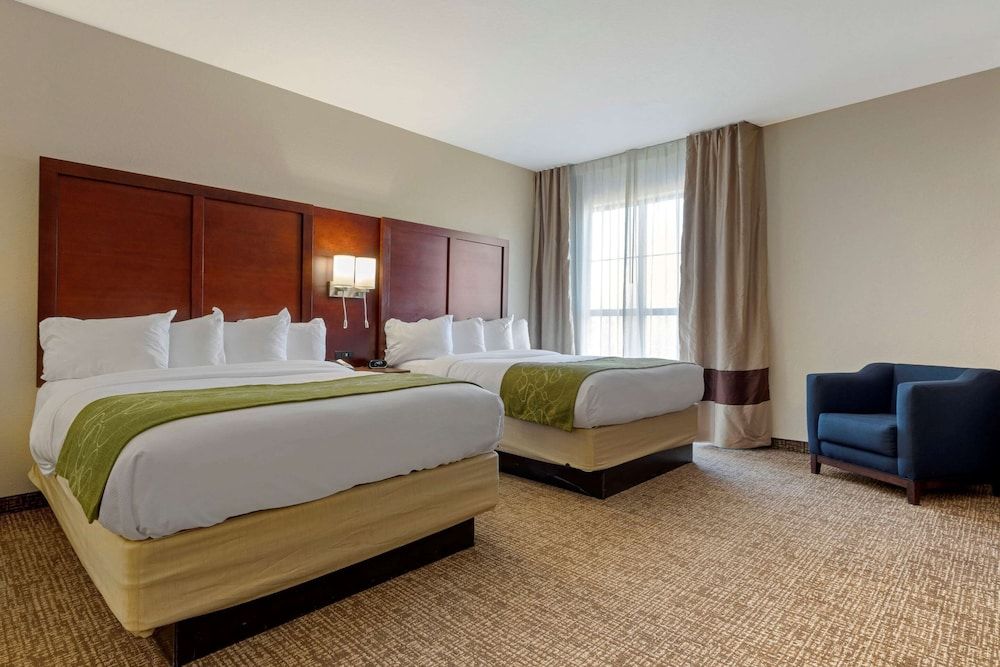 Suite, Multiple Beds (Large)