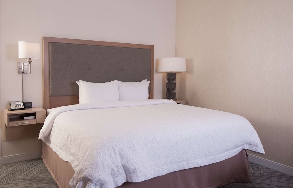 Hampton Inn & Suites by Hilton Augusta-Washington Rd Room, 1 King Bed, Accessible (Mobility & Hearing, Roll-in Shower) 2