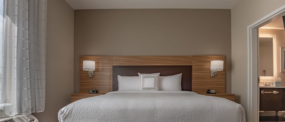 Studio, 1 King Bed with Sofa bed