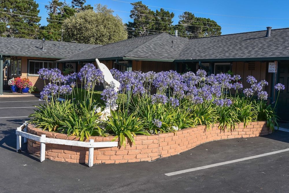 undefined Padre Oaks 8