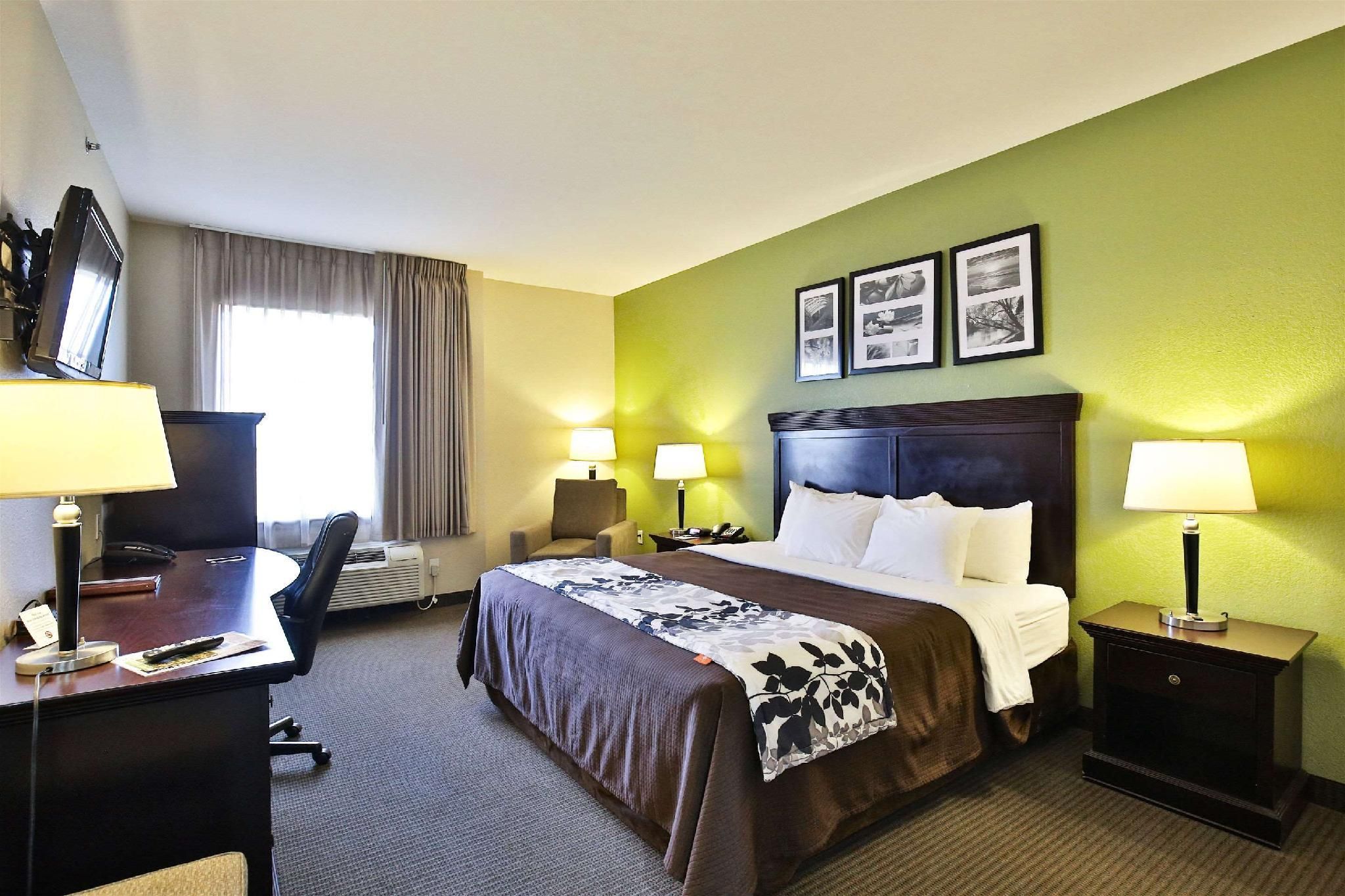 1 King Bed, Nonsmoking, Accessible