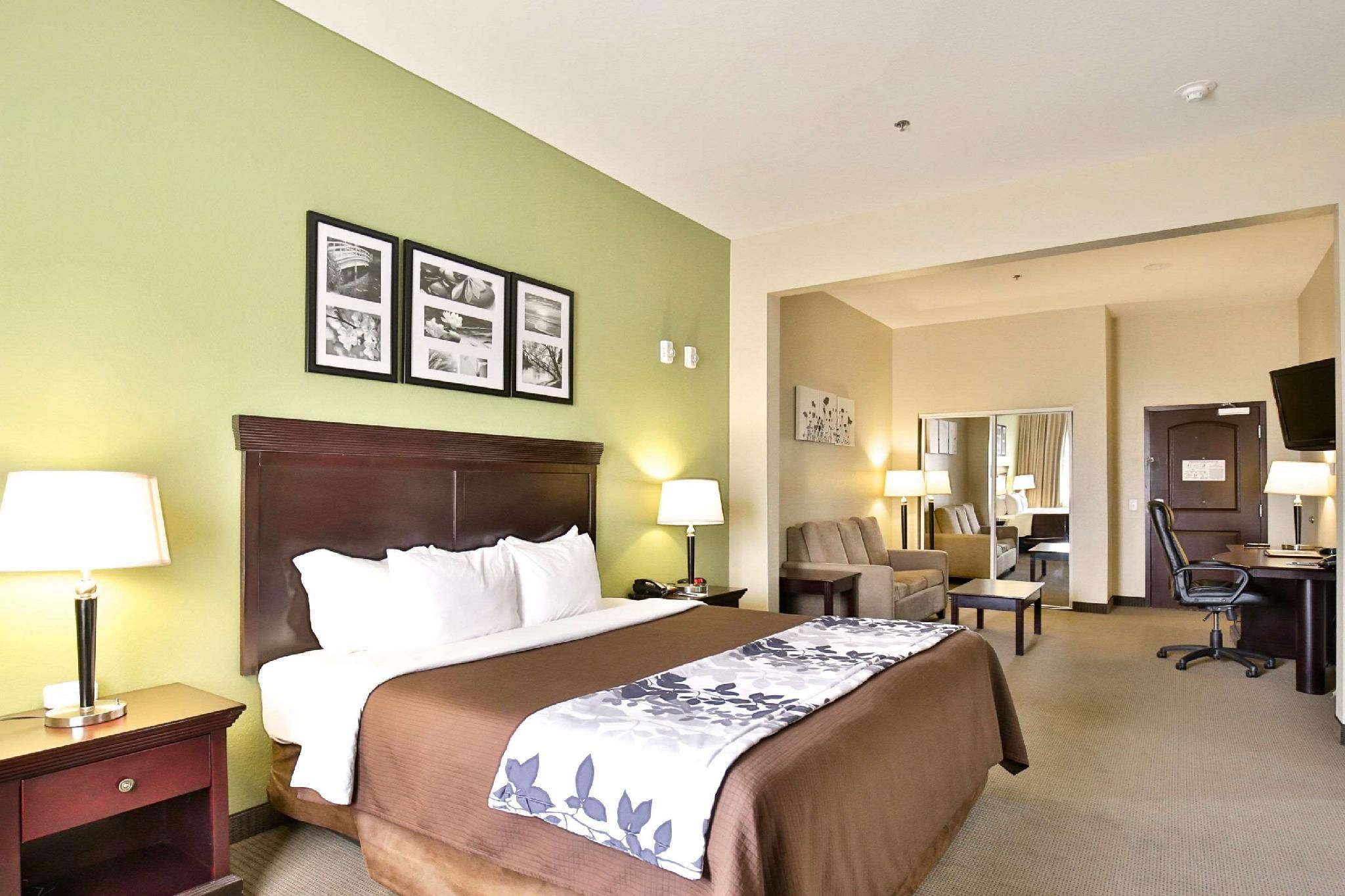 1 King Bed, Suite, Nonsmoking