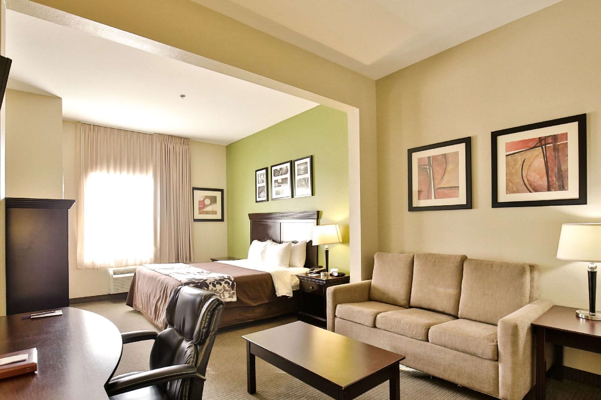 1 King Bed, Suite, Nonsmoking