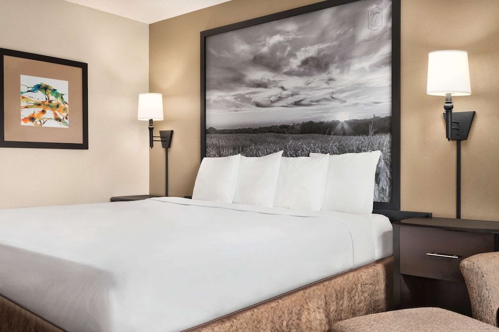 Room, 1 Queen Bed, Non Smoking
