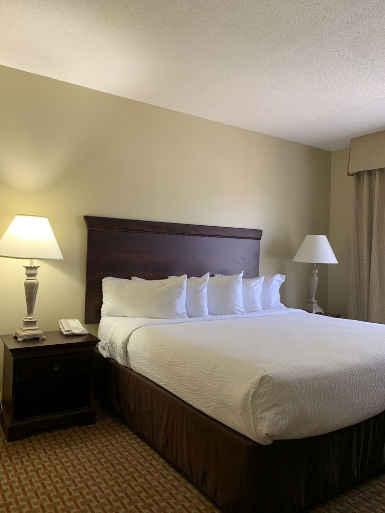 Suite, 1 King Bed with Sofa bed, Non Smoking