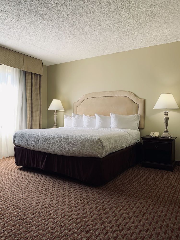 Suite, 1 King Bed with Sofa bed, Non Smoking