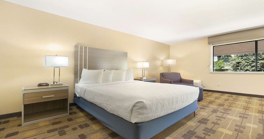 Standard Room, 1 King Bed, Non Smoking, Fireplace (2nd Floor)