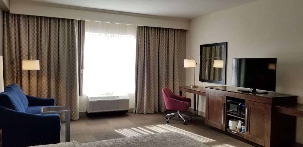 Room, 1 King Bed with Sofa bed, Non Smoking, Refrigerator & Microwave