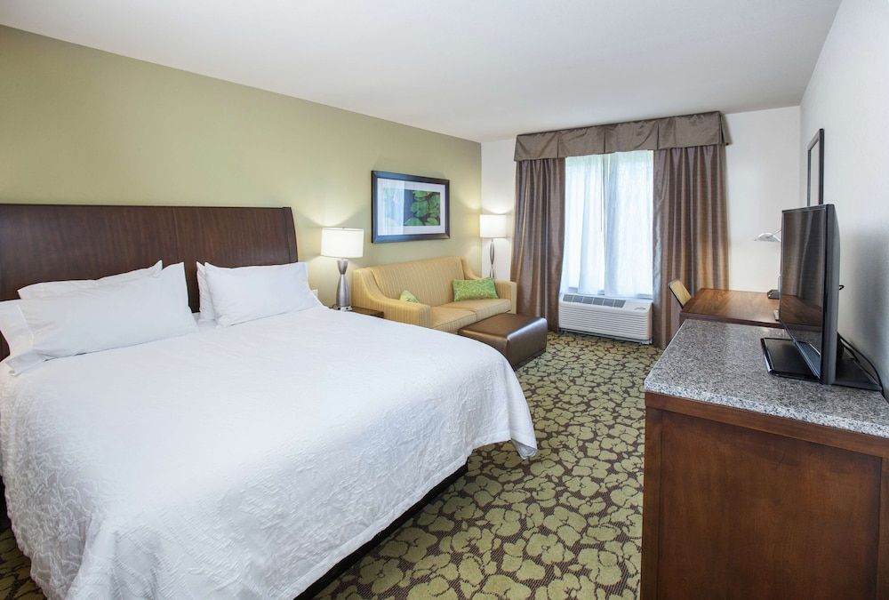 Room, 1 King Bed with Sofa bed