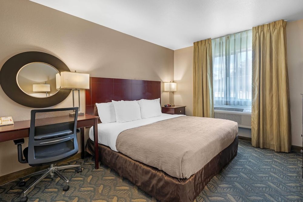 Standard Room 1 King Bed, 1st Floor, Roll-in Shower, Accessible, Non-Smoking