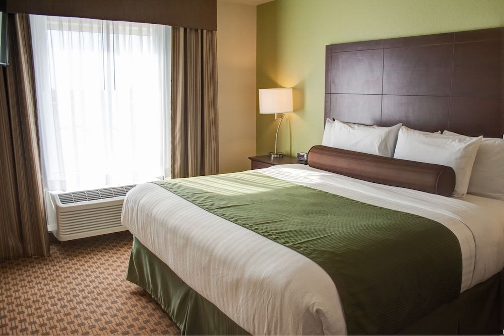 Cobblestone Hotel & Suites - Jefferson Room, 1 King Bed, Accessible Roll in Shower, Non Smoking 3