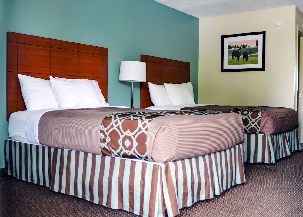 Standard Room, 2 Double Beds, Accessible, Refrigerator & Microwave