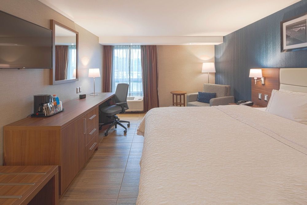 Room, 1 King Bed