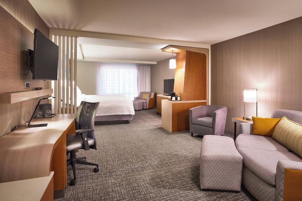 Suite, 1 King Bed with Sofa bed