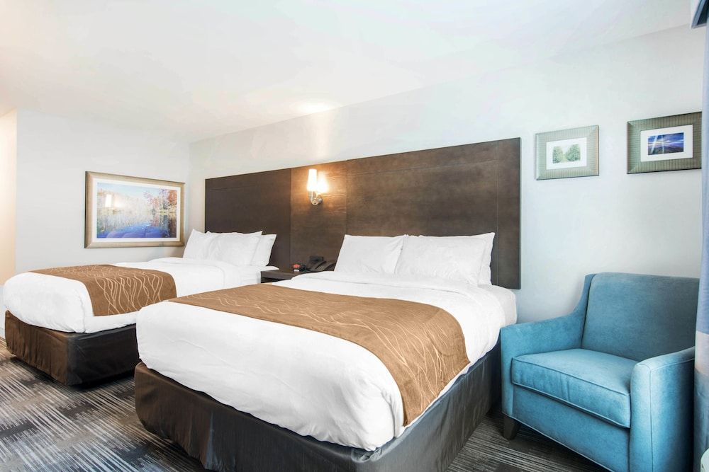 Standard Room, 2 Queen Beds, Non Smoking