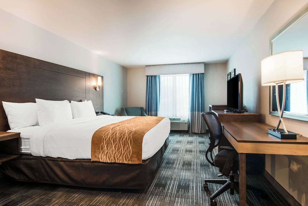 Standard Room, 1 King Bed, Non Smoking