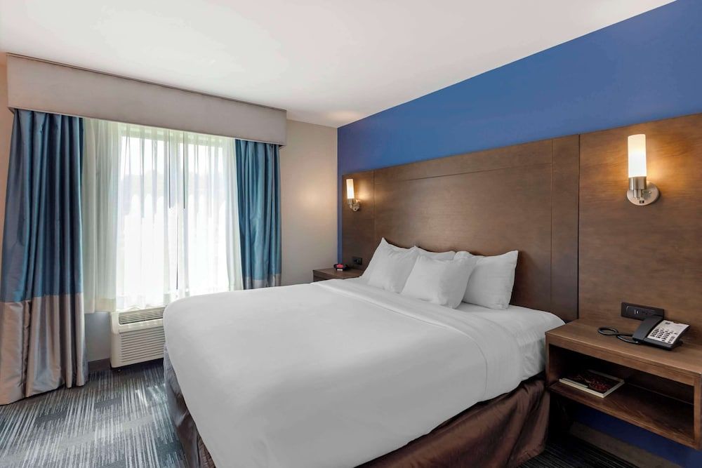 Suite, 1 King Bed with Sofa bed, Accessible, Non Smoking (2 Person Sofa Bed)