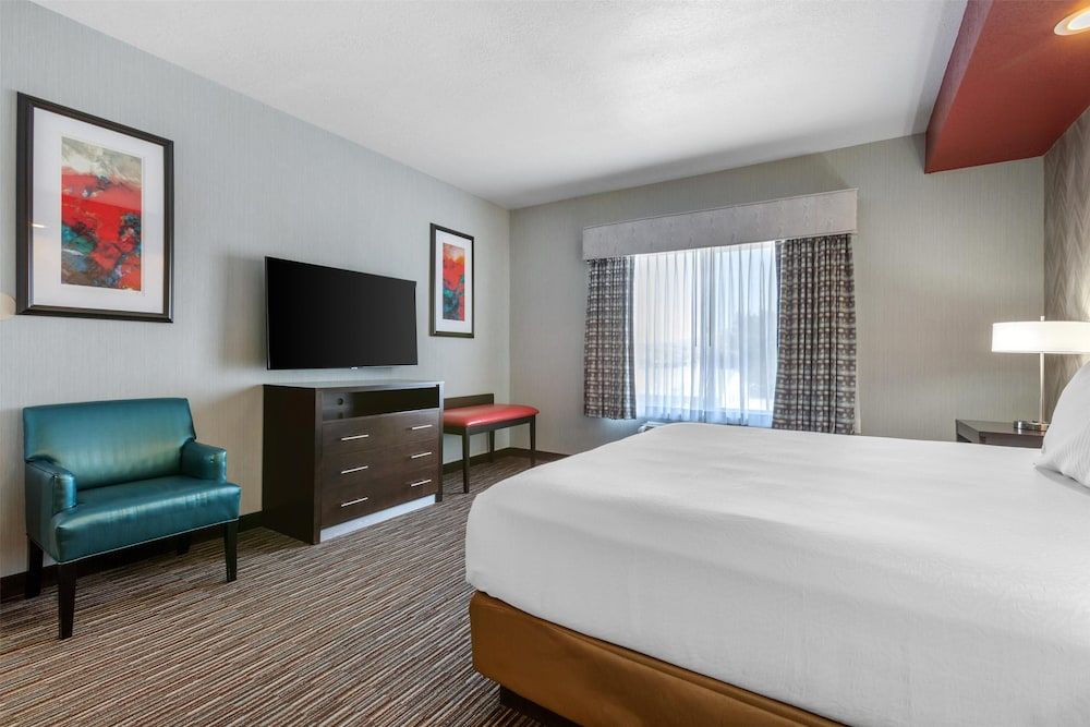 Suite, 1 King Bed, Non Smoking, Refrigerator & Microwave (with Sofabed)
