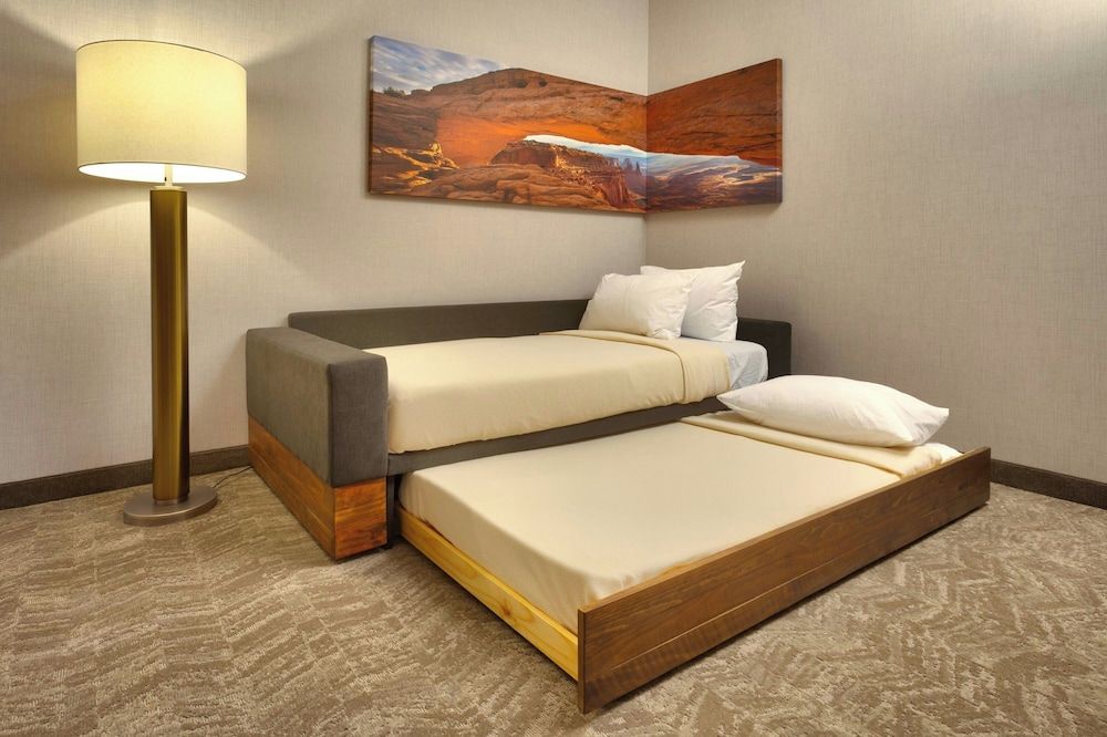 undefined SpringHill Suites by Marriott Moab 5