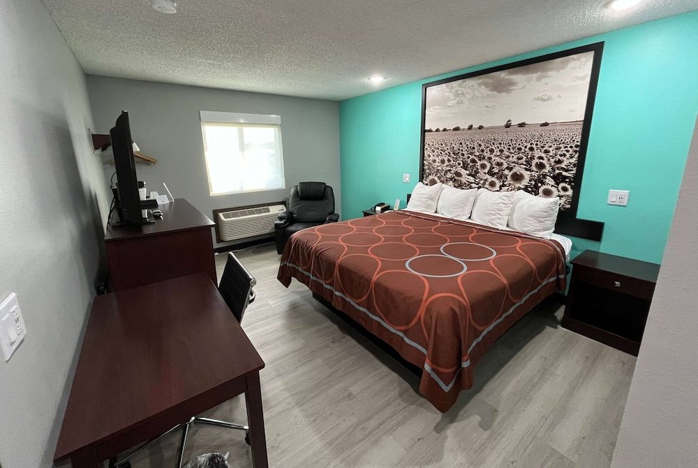 Room, 1 King Bed, Non Smoking (Pet-Friendly)