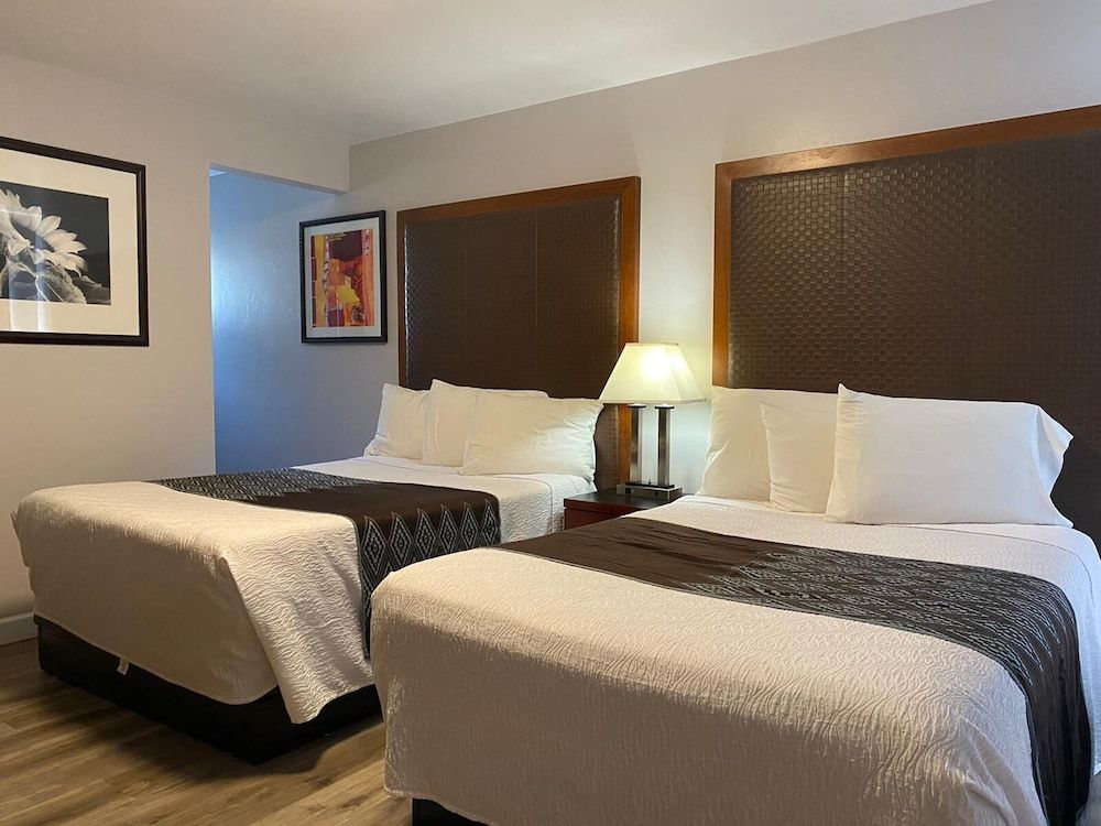 Standard Room, 2 Double Beds