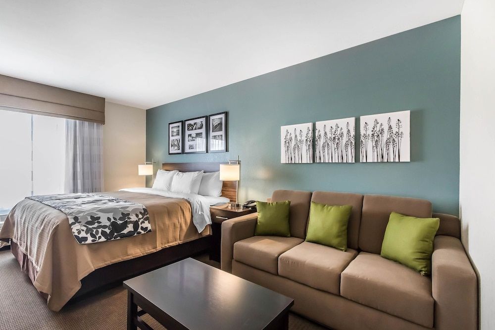 Standard Room, 1 King Bed, Non Smoking