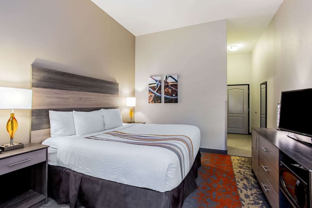 Room, 1 King Bed, Non Smoking