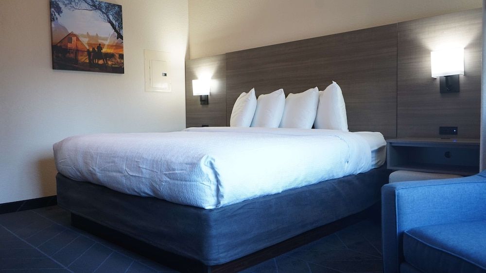 Standard Room, 1 King Bed, Non Smoking