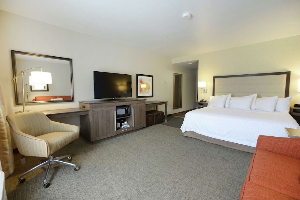 Room, 1 King Bed with Sofa bed, Non Smoking, Refrigerator & Microwave