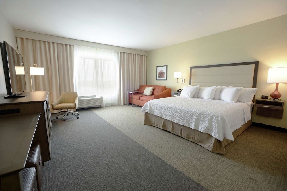 Room, 1 King Bed with Sofa bed, Accessible, Non Smoking