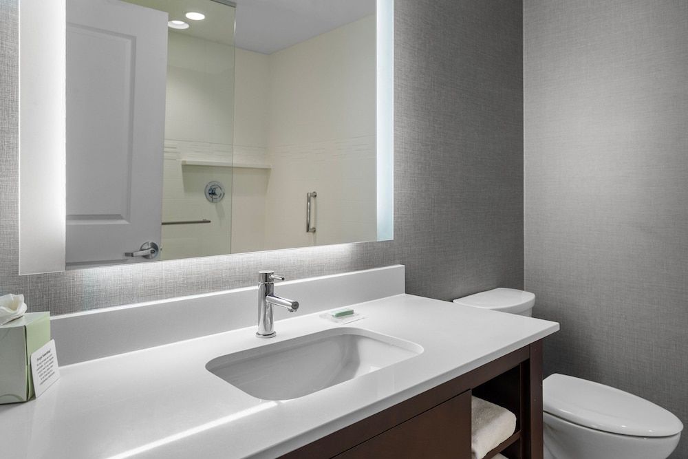 Studio, 1 King Bed, Non Smoking (Mobility/Hearing Access, Roll-In Shwr)