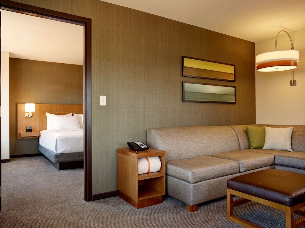 Suite, 1 King Bed with Sofa bed (Shower)