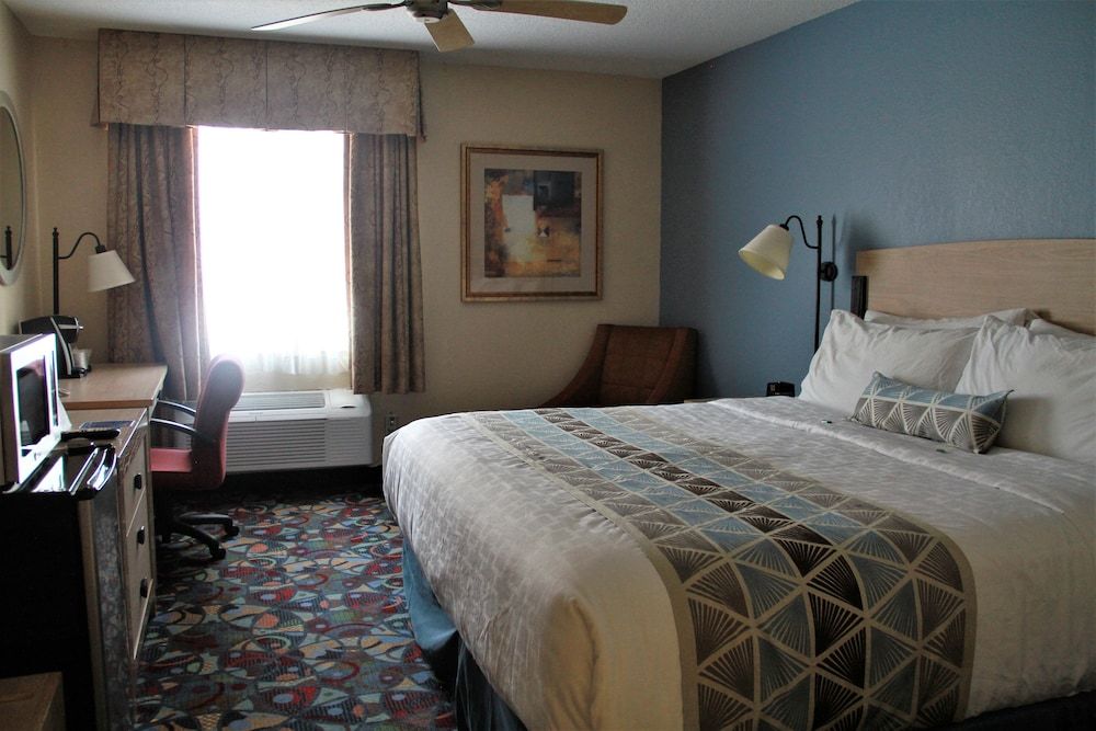 Room, 1 King Bed, Non Smoking