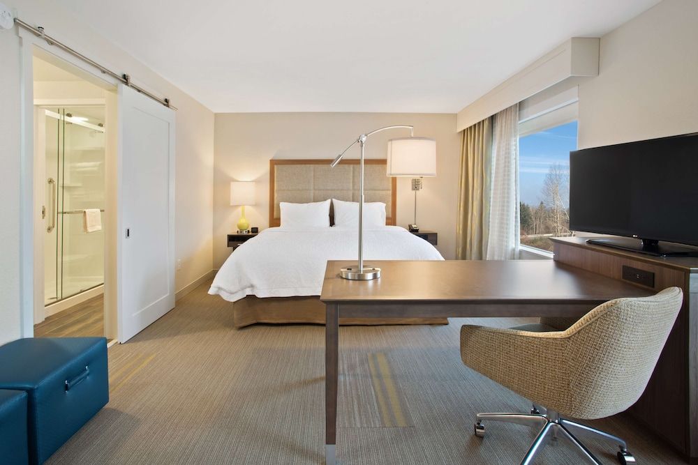Studio, 1 King Bed with Sofa bed, Refrigerator & Microwave (Wet Bar)