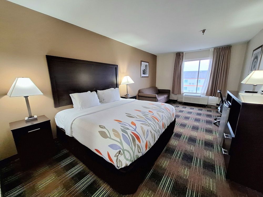 Room, 1 King Bed