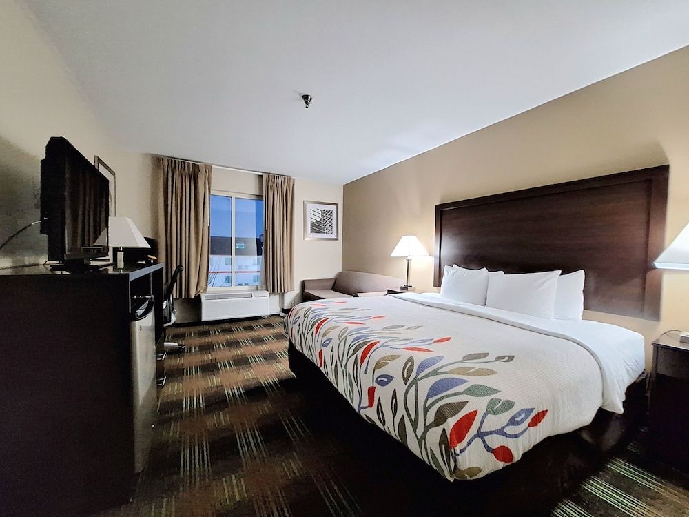 Room, 1 King Bed, Accessible