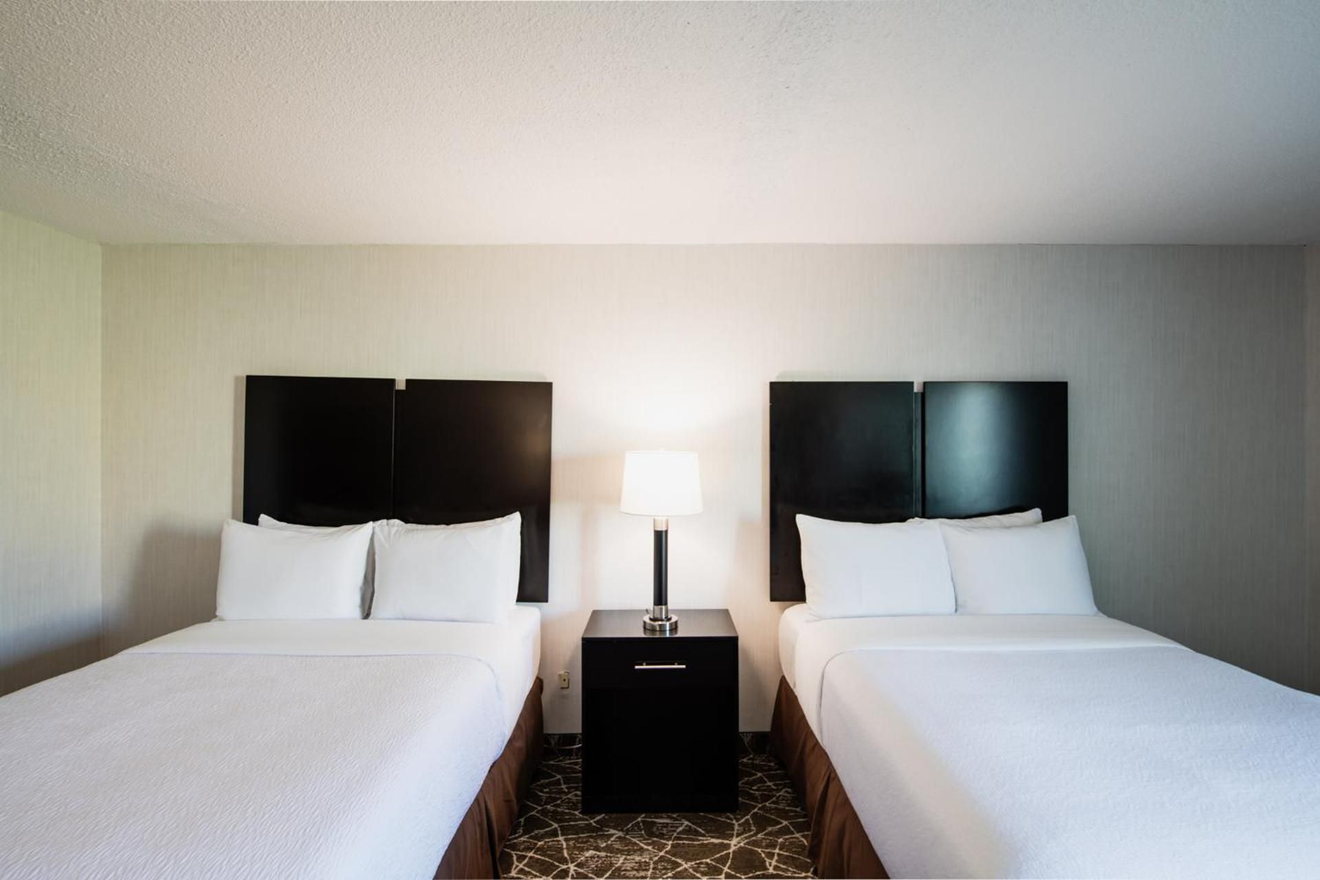 Garden Executive Hotel 2 Double Beds 2