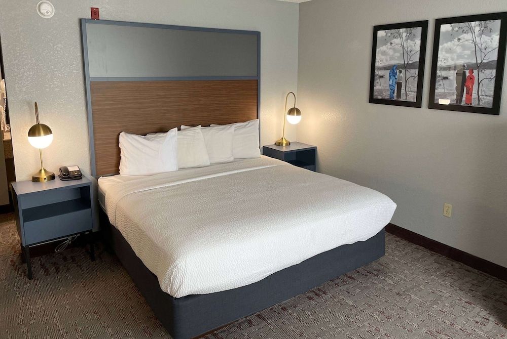 Superior Suite, 1 King Bed, Non Smoking (Deluxe Superior)
