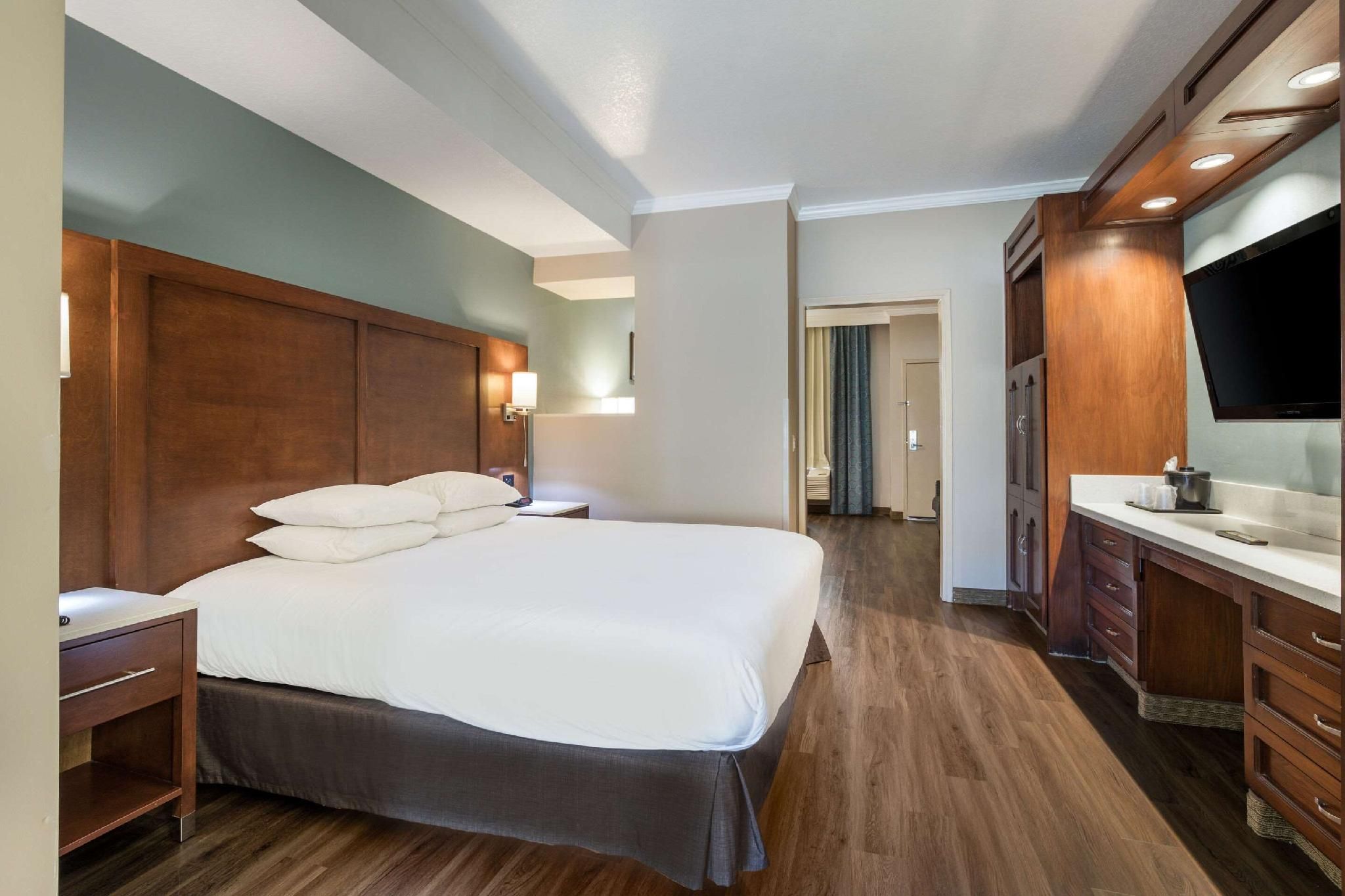1 King Bed, Suite, Nonsmoking