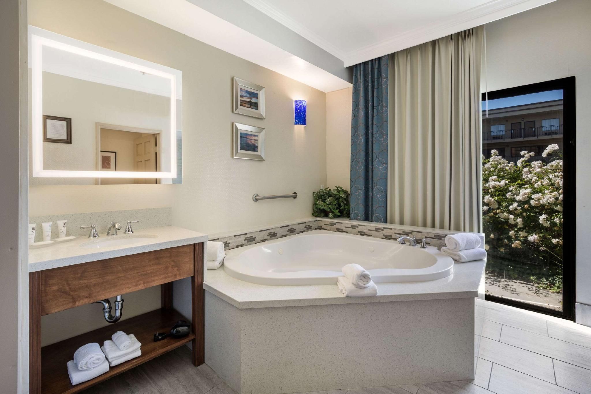 1 King Bed, Suite, Nonsmoking
