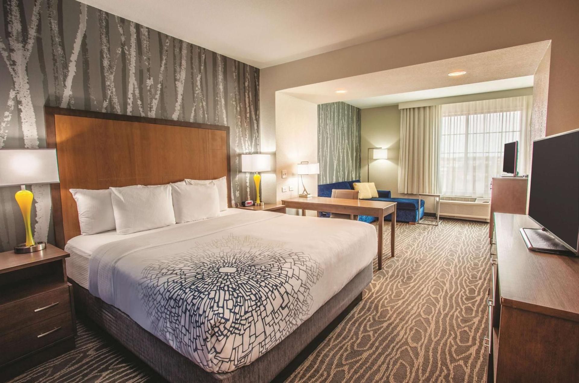 1 King Bed, Deluxe Suite, Non-Smoking
