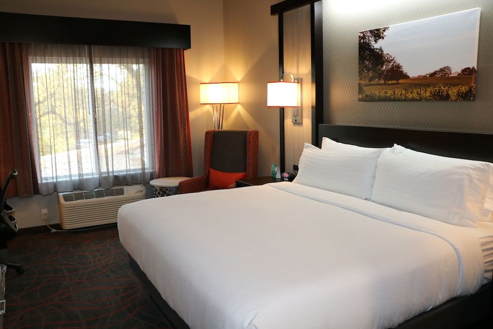 Standard Room, 1 King Bed with Sofa bed