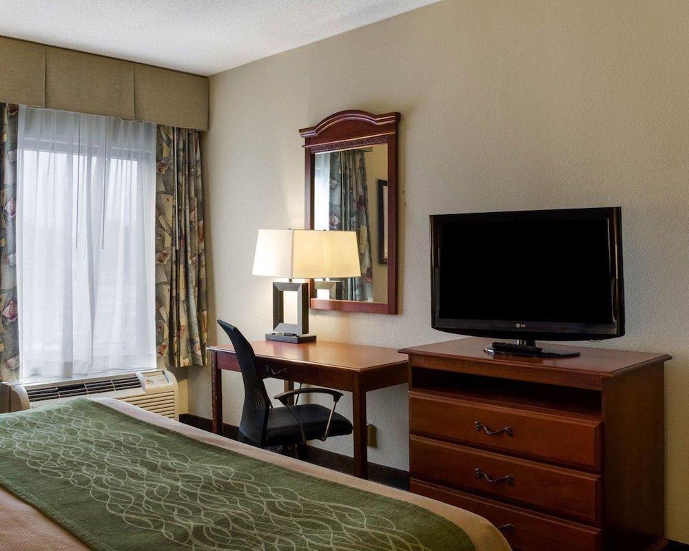 Standard Room, 1 King Bed, Non Smoking