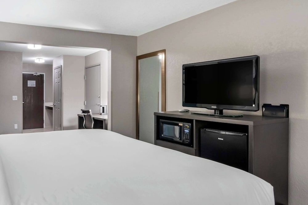 Standard Room, 1 King Bed with Sofa bed, Non Smoking